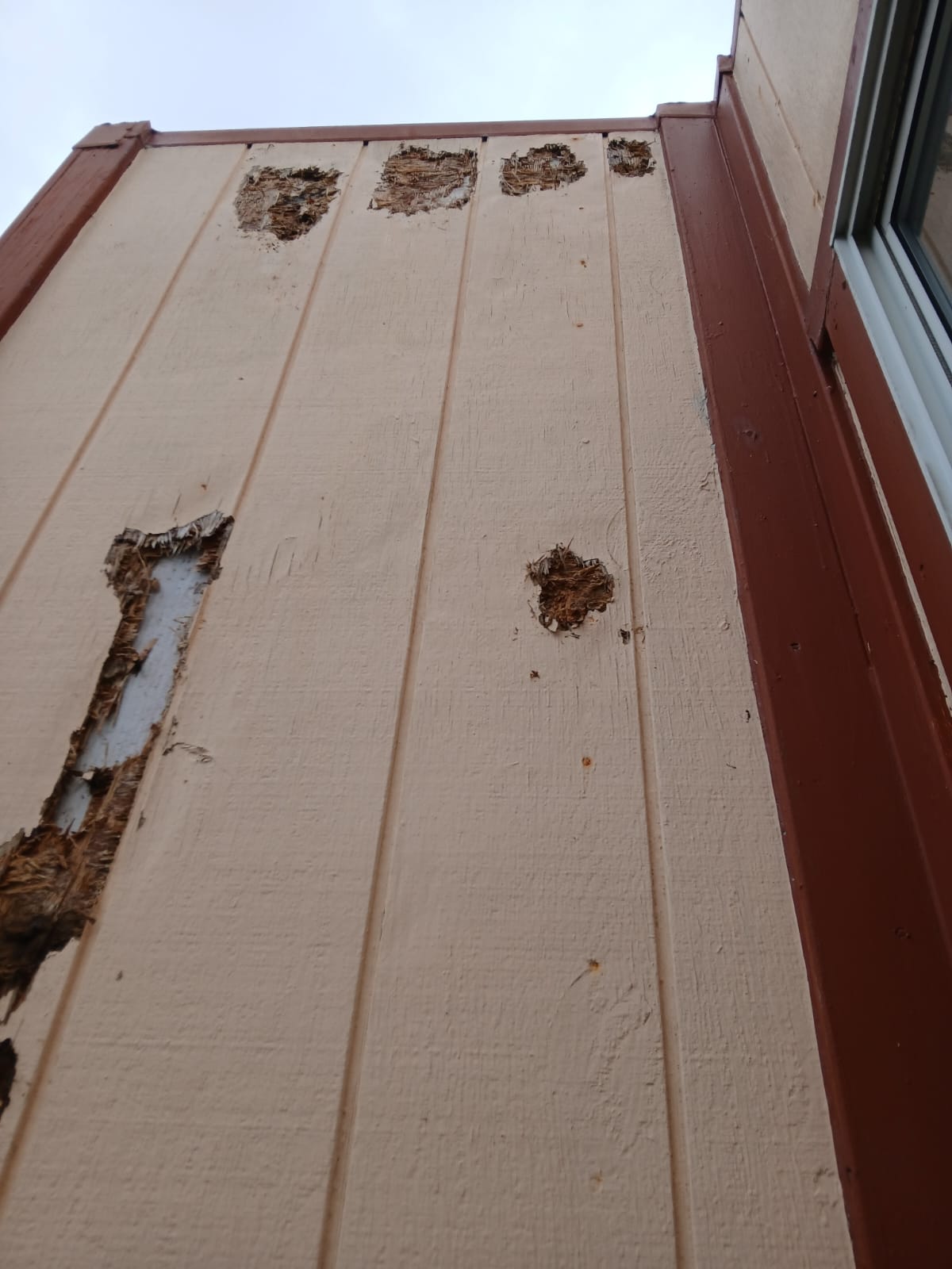 Damaged exterior siding before repair