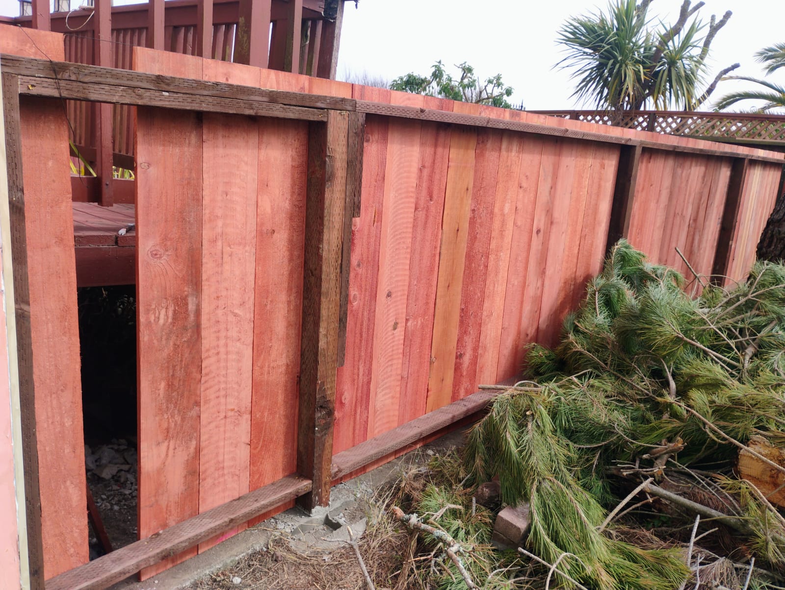 New wooden fence installation with yard cleanup